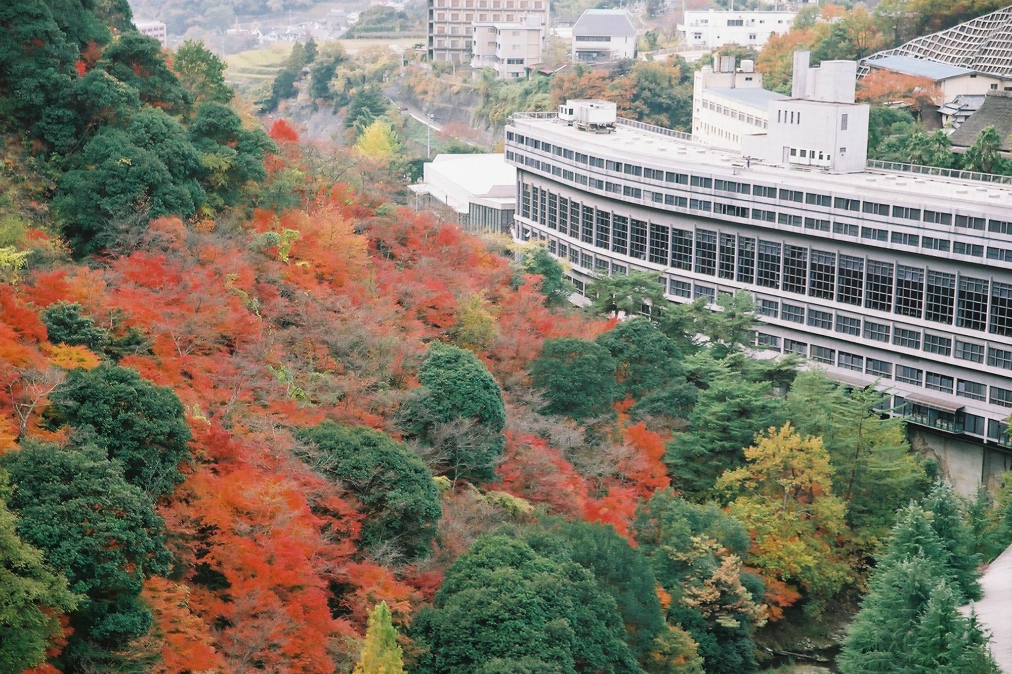 Hotel Okudogo Ichiyunomori Matsuyama  Exterior foto